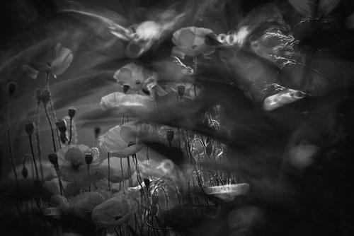 bw-color-10