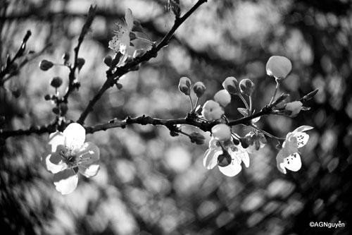 bw-color-12