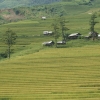kientructli