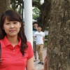 nguyenhongquy