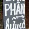 buongchuoi