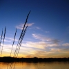 ilovephotograph