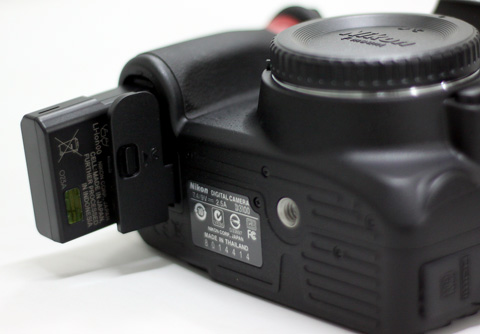 Nikon D3100
