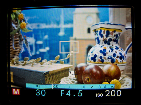 Fujifilm, X100, CES 2011