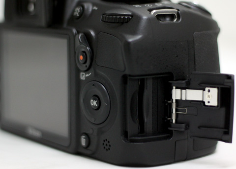 Nikon D3100
