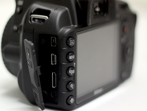 Nikon D3100