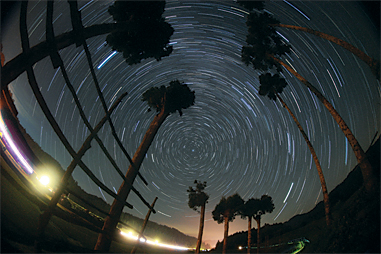 Canon EF 8-15mm f4L USM