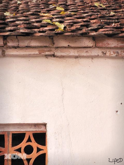 Quê ngoại.