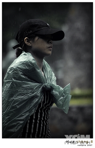 Mưa tháng 8
