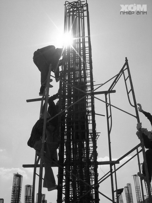 Trắng và đen