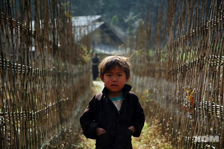 Chân dung Hà Giang