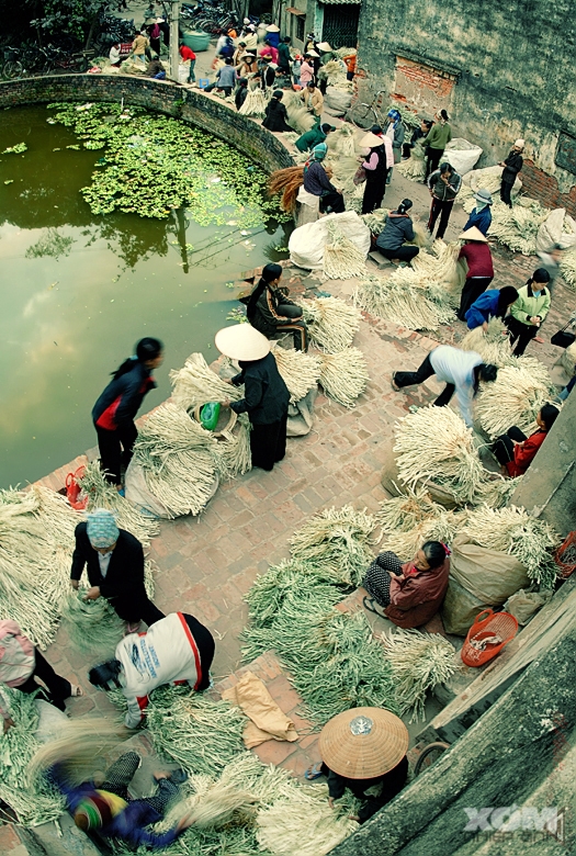 Đi chợ Chuông
