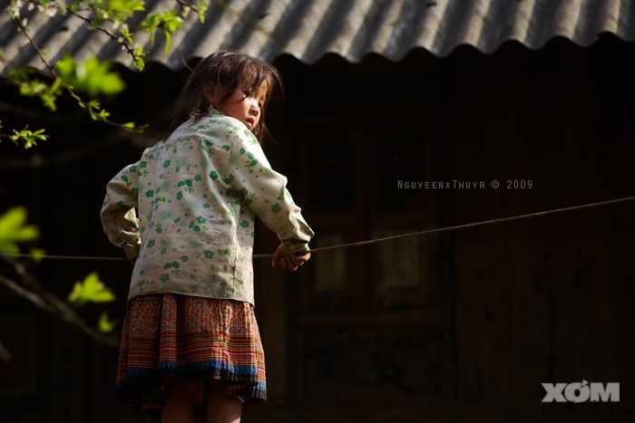 đu dây phơi!